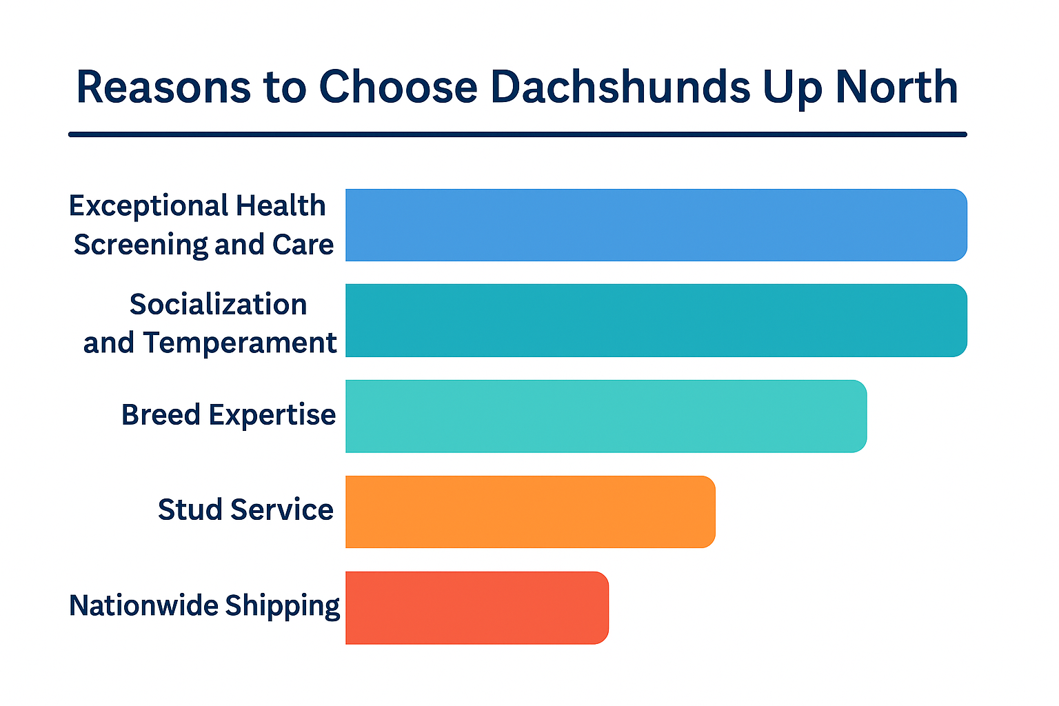 Reasons to choose Dachshunds Up North