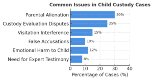 Common Issues in Child Custody Cases