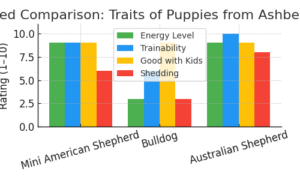 Breed Comparison: Traits of puppies from Ashber Farms
