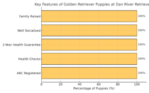 Key Features of Golden Retriever Puppies at Dan River Retrievers