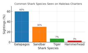 Common Shark Species Seen on Go Adventure Shark Tours