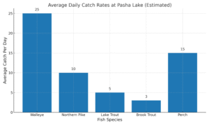 Bar chart of average daily fish catches at Pasha Lake, Ontario showing Walleye, Pike, Trout, and Perch rates