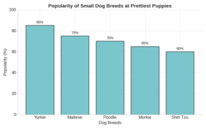Bar graph showing popularity of small breed puppies at Prettiest Puppies in Jonestown, Texas