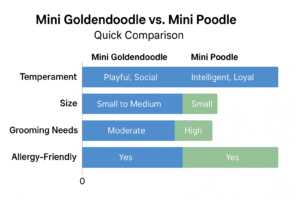 mini goldendoodles vs mini poodles